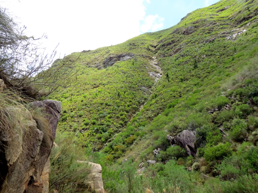 Commercial Property for Sale in Robertson Rural Western Cape